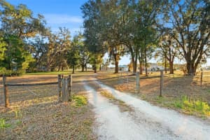 2621 C 478A, WEBSTER, FL 33597 - MLS#MFRW7882767