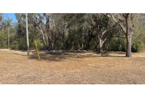 16347 ALBRIGHT ROAD, SPRING HILL, FL 34610 - MLS#MFRW7882776