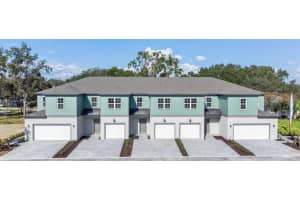 2295 Red Pine Ct, EUSTIS