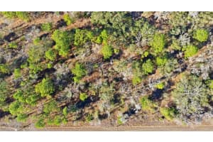 VELVET SCOTER AVE, WEEKI WACHEE, FL 34614 - MLS#MFRW7882805
