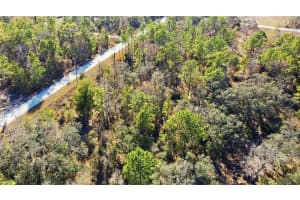 VELVET SCOTER AVE, WEEKI WACHEE, FL 34614 - MLS#MFRW7882805