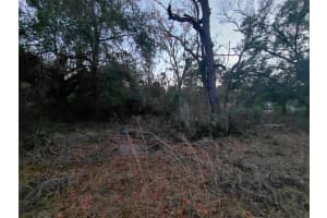 12139 RUTHERFORD LANE, HUDSON, FL 34669 - MLS#MFRW7882812
