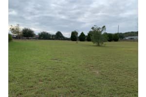 8424 ZEPHYR WING COURT, FLORAL CITY, FL 34436 - MLS#MFRW7882844