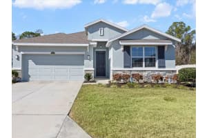 2873 STORYBROOK PRESERVE DRIVE, ODESSA, FL 33556 - MLS#MFRW7882872