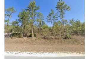 16230 KAKAWI ROAD, BROOKSVILLE, FL 34614 - MLS#MFRW7882885