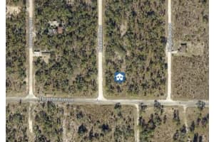 16230 KAKAWI ROAD, BROOKSVILLE, FL 34614 - MLS#MFRW7882885