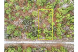 CAYMAN RD, WEEKI WACHEE, FL 34614 - MLS#MFRW7882892
