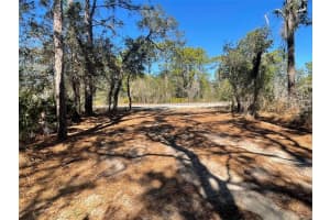 11242 MIRAGE AVENUE, WEEKI WACHEE, FL 34614 - MLS#MFRW7882903