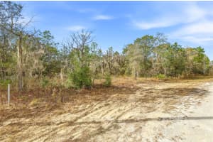 CAYMAN RD, WEEKI WACHEE, FL 34614 - MLS#MFRW7882949