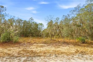 CAYMAN RD, WEEKI WACHEE, FL 34614 - MLS#MFRW7882949