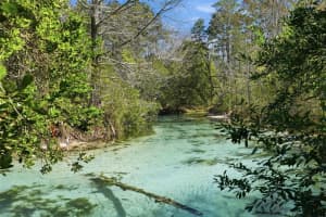 7275 CRYSTAL SPRING RUN, WEEKI WACHEE, FL 34607 - MLS#MFRW7882950