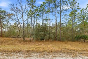 CAYMAN RD, WEEKI WACHEE, FL 34614 - MLS#MFRW7882955