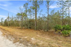 CAYMAN RD, WEEKI WACHEE, FL 34614 - MLS#MFRW7882955