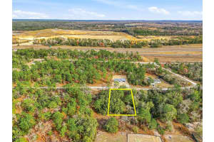 CAYMAN RD, WEEKI WACHEE, FL 34614 - MLS#MFRW7882957