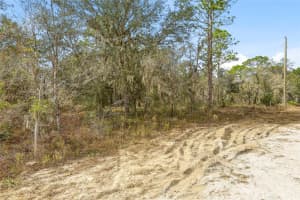 CAYMAN RD, WEEKI WACHEE, FL 34614 - MLS#MFRW7882957