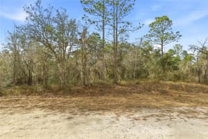CAYMAN RD, WEEKI WACHEE, FL 34614 - MLS#MFRW7882957