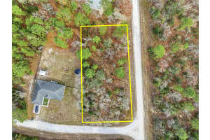 16364 CAYMAN ROAD, BROOKSVILLE, FL 34614 - MLS#MFRW7882960