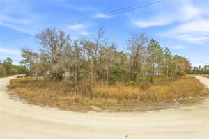 16364 CAYMAN ROAD, BROOKSVILLE, FL 34614 - MLS#MFRW7882960