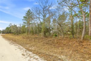 16364 CAYMAN ROAD, BROOKSVILLE, FL 34614 - MLS#MFRW7882960