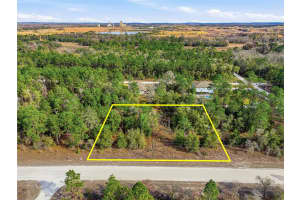 CHIMNEY SWIFT RD, WEEKI WACHEE, FL 34614 - MLS#MFRW7882961