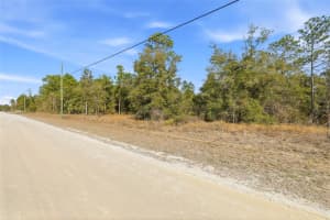 CHIMNEY SWIFT RD, WEEKI WACHEE, FL 34614 - MLS#MFRW7882961