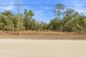 CHIMNEY SWIFT RD, WEEKI WACHEE, FL 34614 - MLS#MFRW7882961
