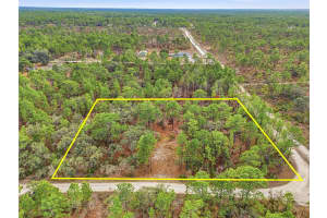 11388 THAMES AVENUE, BROOKSVILLE, FL 34614 - MLS#MFRW7882963