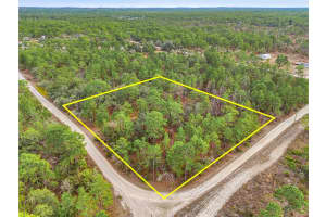 11388 THAMES AVENUE, BROOKSVILLE, FL 34614 - MLS#MFRW7882963