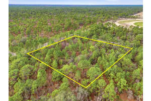 11388 THAMES AVENUE, BROOKSVILLE, FL 34614 - MLS#MFRW7882963