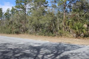 0 QUIGLEY AVENUE, WEEKI WACHEE, FL 34614 - MLS#MFRW7883002