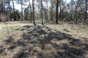 0 QUIGLEY AVENUE, WEEKI WACHEE, FL 34614 - MLS#MFRW7883002