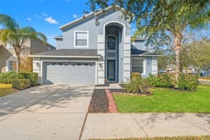10626 Liberty Bell Dr, TAMPA