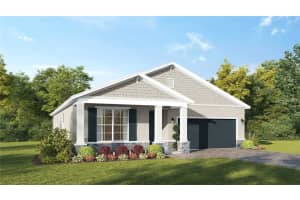 778 Emerald Grove Dr, APOPKA