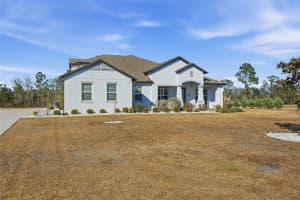 9667 PANTERA LOOP, WEEKI WACHEE, FL 34613 - MLS#MFRW7883057