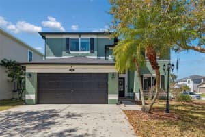 1744 Mapleleaf Blvd, OLDSMAR
