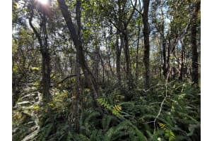 2293 MARIETTA AVENUE, SPRING HILL, FL 34608 - MLS#MFRW7883093