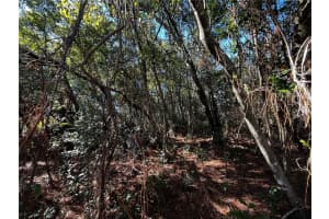 2293 MARIETTA AVENUE, SPRING HILL, FL 34608 - MLS#MFRW7883093