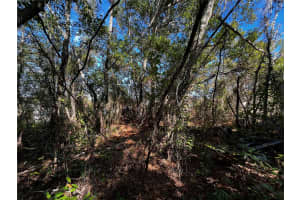 2293 MARIETTA AVENUE, SPRING HILL, FL 34608 - MLS#MFRW7883093