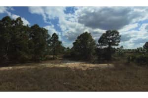 1032 CHADWICK AVENUE, LEHIGH ACRES, FL 33974 - MLS#MFRW7883096