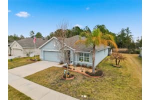 5484 DIANTHA WAY, BROOKSVILLE, FL 34604 - MLS#MFRW7883101