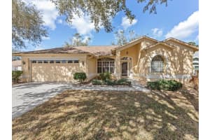 3123 QUAIL HOLLOW COURT, SPRING HILL, FL 34606 - MLS#MFRW7883115