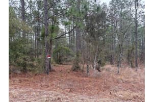 NW TERRAPIN DR, DUNNELLON, FL 34431 - MLS#MFRW7883125