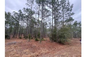 NW TERRAPIN DR, DUNNELLON, FL 34431 - MLS#MFRW7883125