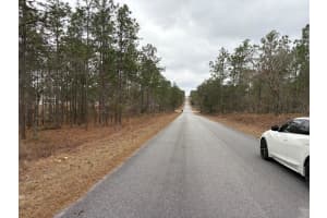 NW TERRAPIN DR, DUNNELLON, FL 34431 - MLS#MFRW7883125