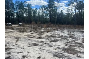 0000 135TH COURT, DUNNELLON, FL 34431 - MLS#MFRW7883138