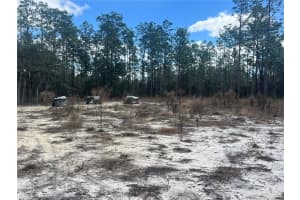 0000 135TH COURT, DUNNELLON, FL 34431 - MLS#MFRW7883138