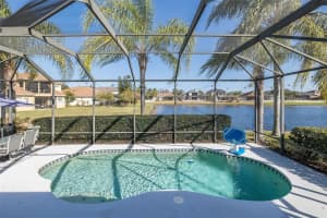 20301 FALLING ROCK DRIVE, LAND O LAKES, FL 34638 - MLS#MFRW7883146