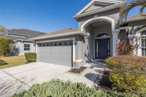 20301 FALLING ROCK DRIVE, LAND O LAKES, FL 34638 - MLS#MFRW7883146