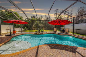 12902 TIKAL WAY, TRINITY, FL 34655 - MLS#MFRW7883178