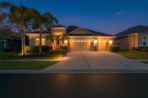 3303 STONEGATE FALLS DRIVE, LAND O LAKES, FL 34638 - MLS#MFRW7883182